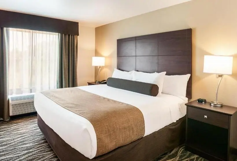 Standard-huone King-vuode, Cobblestone Hotel & Suites Appleton International Airport