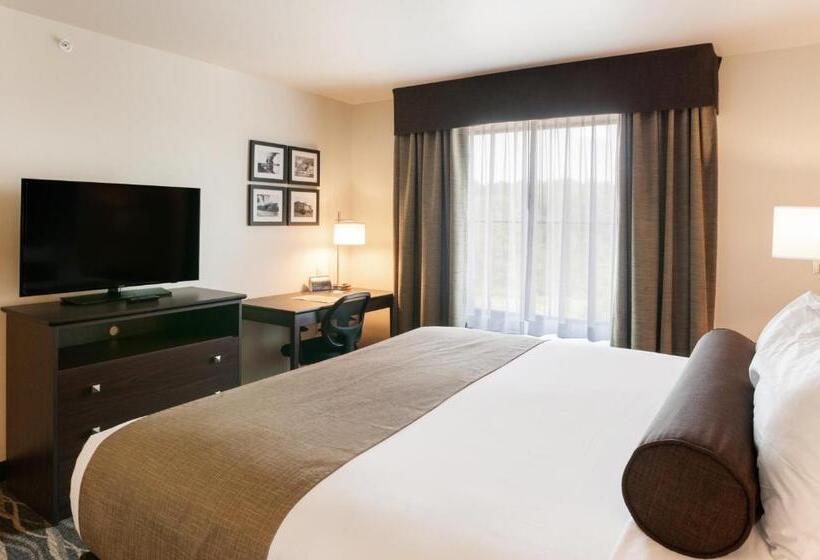 غرفة قياسية سرير كينج, Cobblestone Hotel & Suites Appleton International Airport