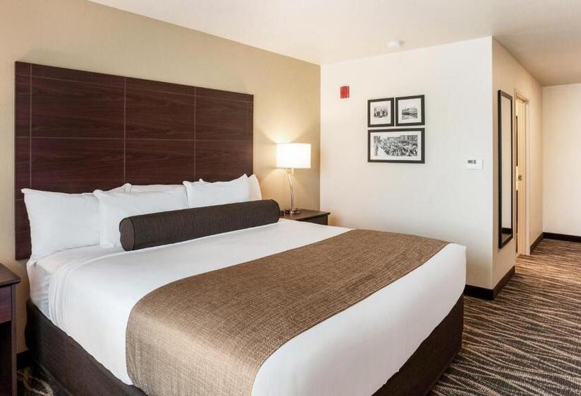 غرفة قياسية سرير كينج, Cobblestone Hotel & Suites Appleton International Airport