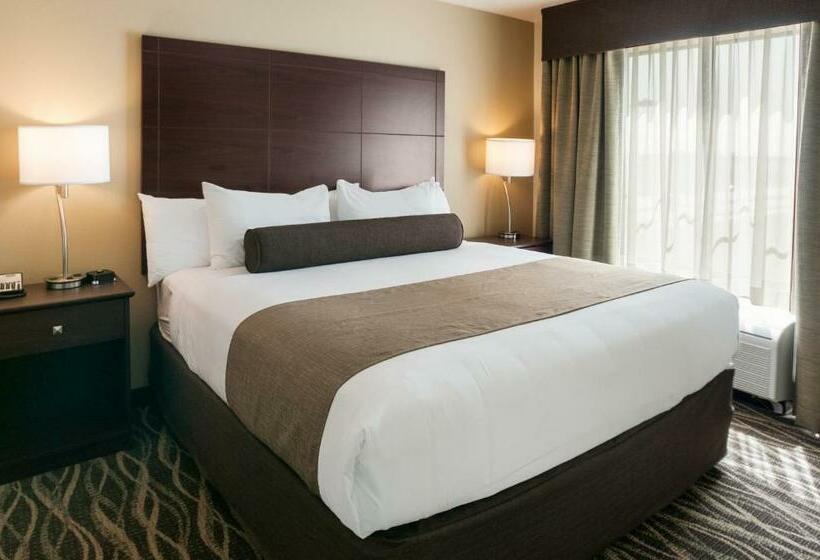 جناح ديلوكس, Cobblestone Hotel & Suites Appleton International Airport