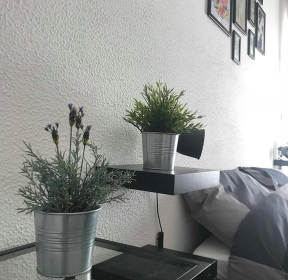 Chambre Standard, Mandala Bed & Breakfast