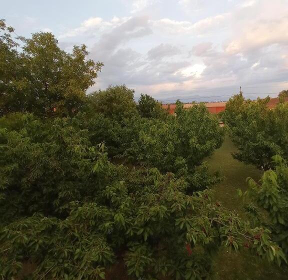 Standaard Vierpersoonskamer, Airport Home Radinovic