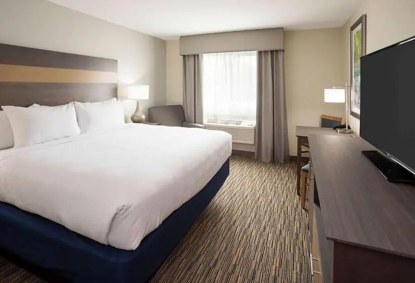 キングサイズベッドのスタンダードルーム, Little Crow Resort & Conference, Trademark By Wyndham