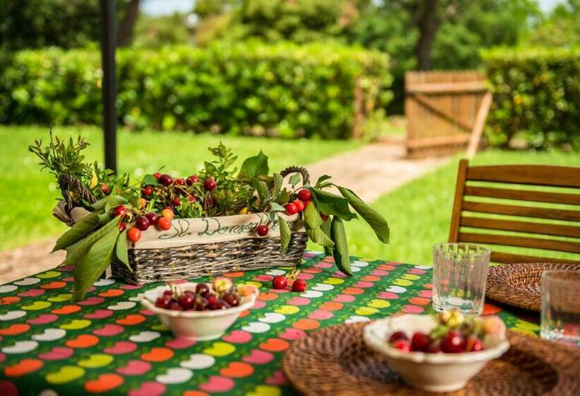 خانه 1 خوابه, Donzellino