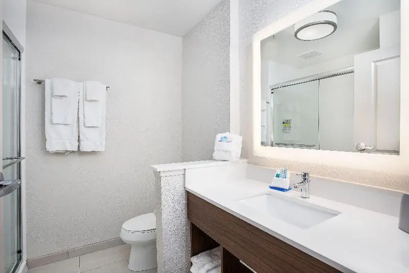 キングサイズベッドのスイートルーム, Holiday Inn Express & Suites   Lexington W   Versailles, An Ihg