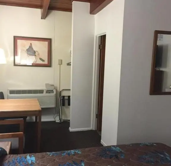 اتاق استاندارد یک نفره, Lazy U Motel