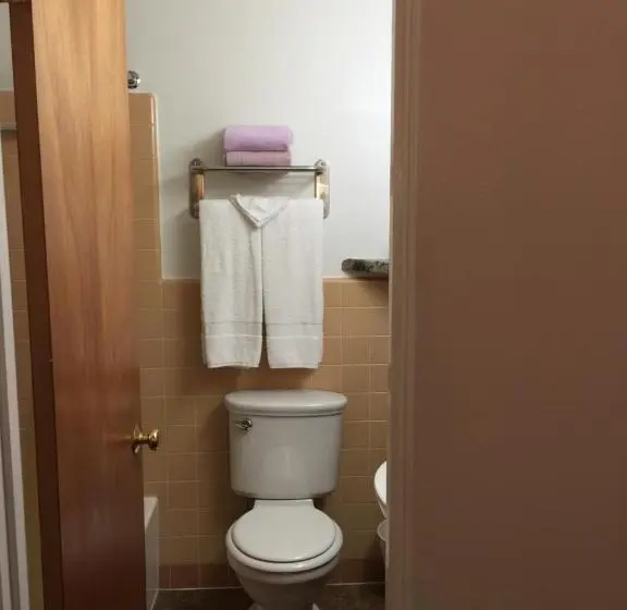 اتاق استاندارد یک نفره, Lazy U Motel
