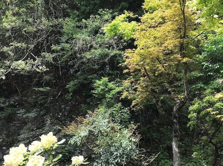 标准间, Koyasan Guest House Tommy