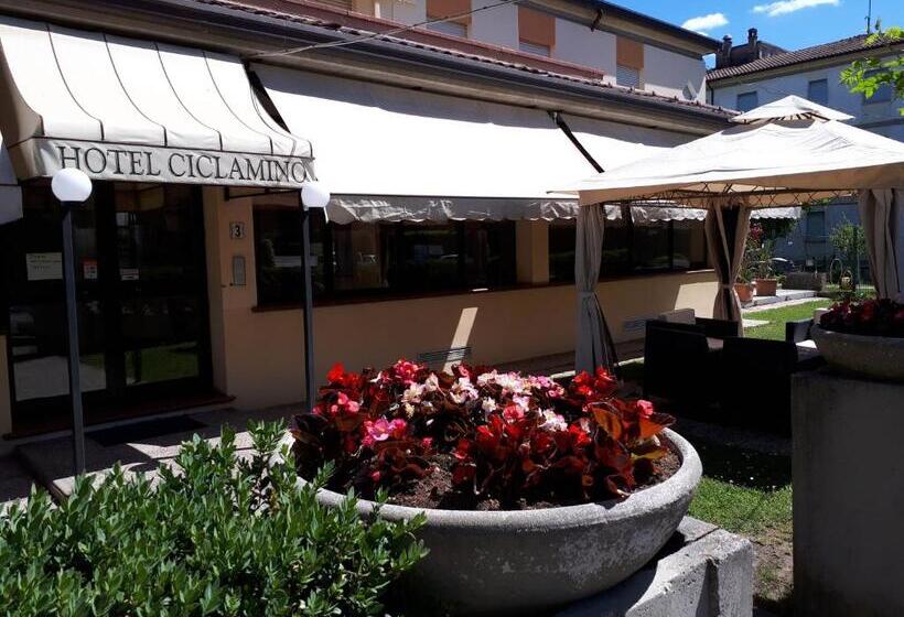 스탠다드 싱글 룸, Ciclamino