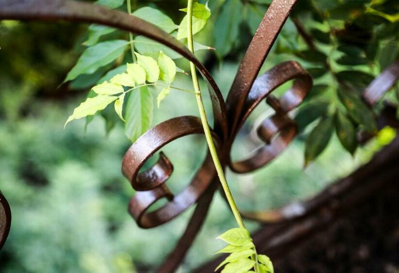 Номер Стандарт с Балконом, L Atmosphere