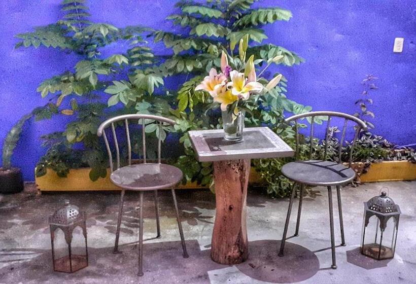 חדר סטנדרט, Riad Lola