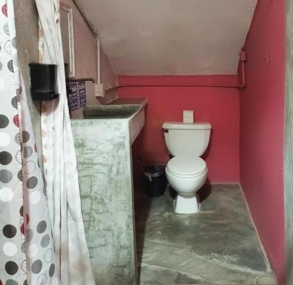 اتاق استاندارد چهار تخته, Riad Lola