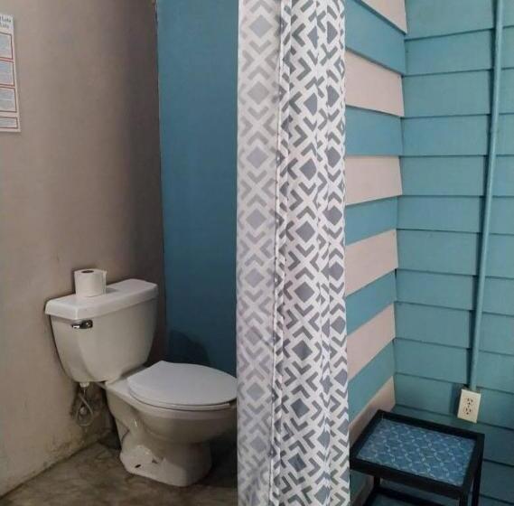 اتاق اکونومی, Riad Lola