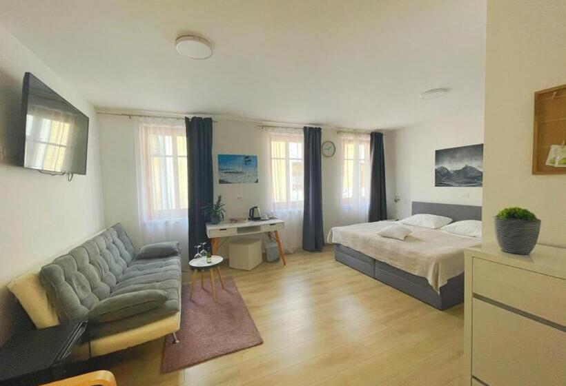 اتاق استاندارد با تخت بزرگ, Gostisce Sovdat