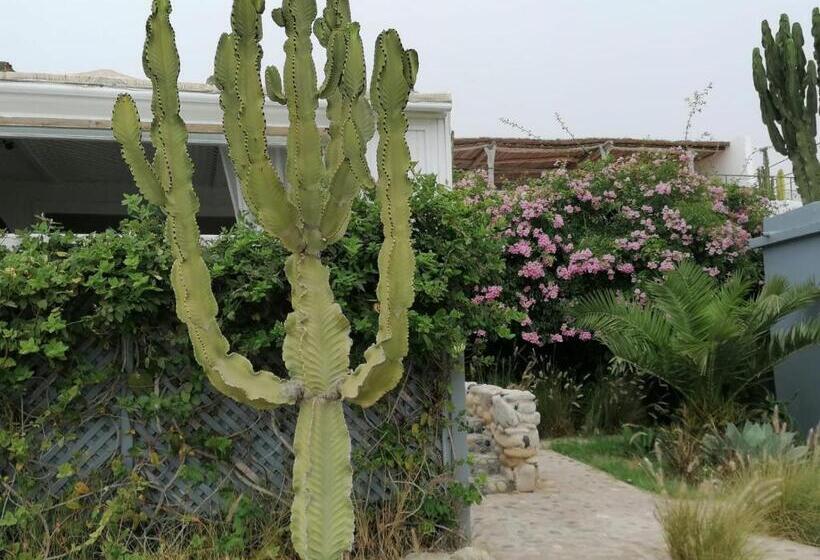 بانگلوی استاندارد با چشم‌انداز دریا, Dav Mahal Eco Lodge