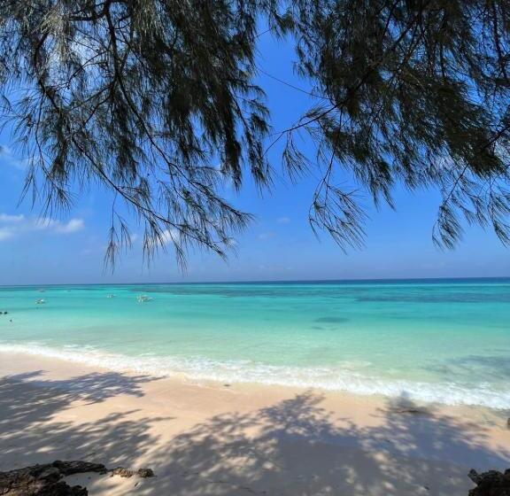 Дом 1 Спальня, Mama Root