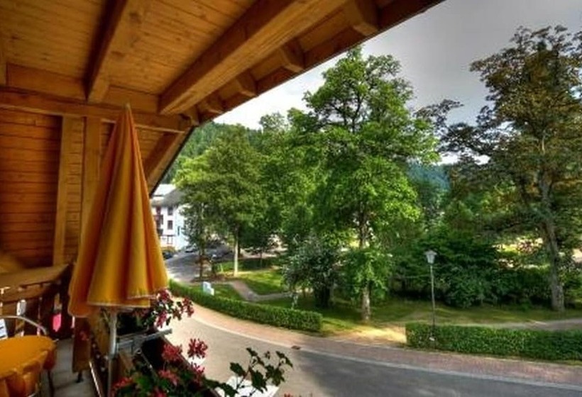 סוויטה, Daszimmermann