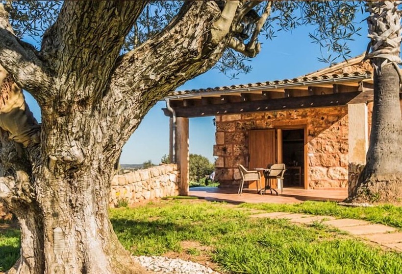 山の見えるジュニアスイート, Agroturismo Es Gallicant