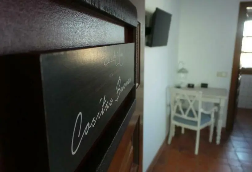 اتاق عادی یک تخته, Entre Dos Aguas Hotel Boutique