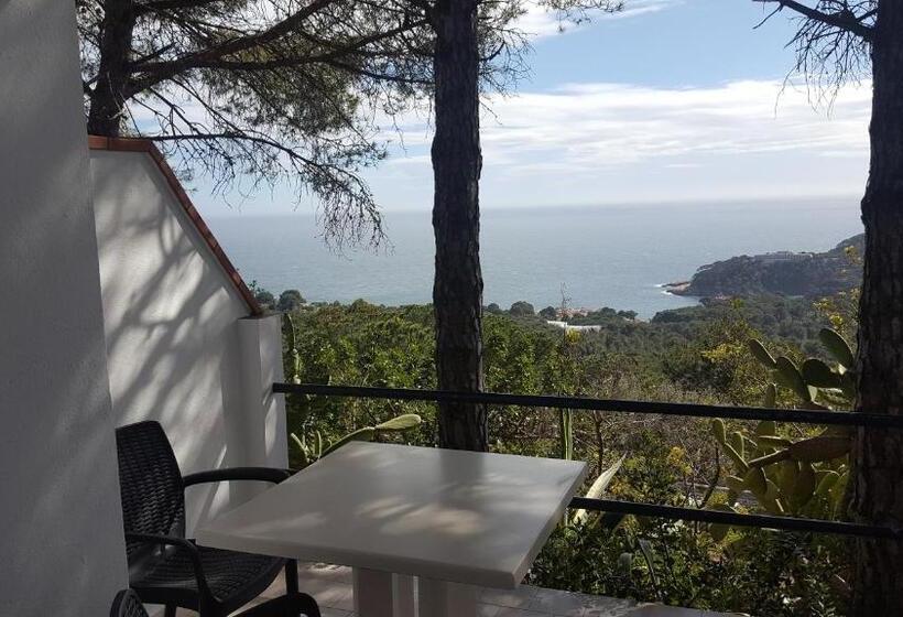 اتاق استاندارد با چشم‌انداز دریا, Hostal Sa Barraca   Adults Only