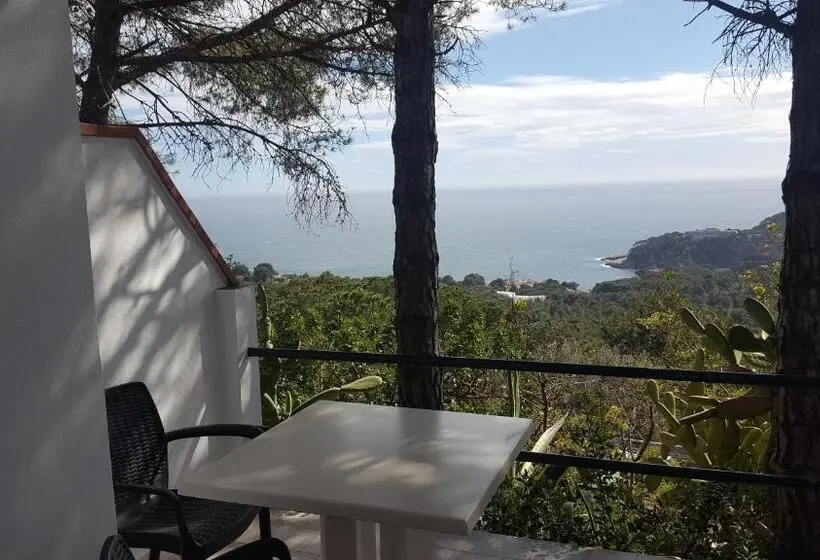 اتاق استاندارد با چشم‌انداز دریا, Hostal Sa Barraca   Adults Only