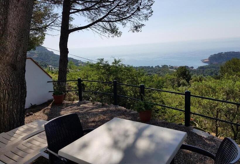 اتاق سوپریور, Hostal Sa Barraca   Adults Only