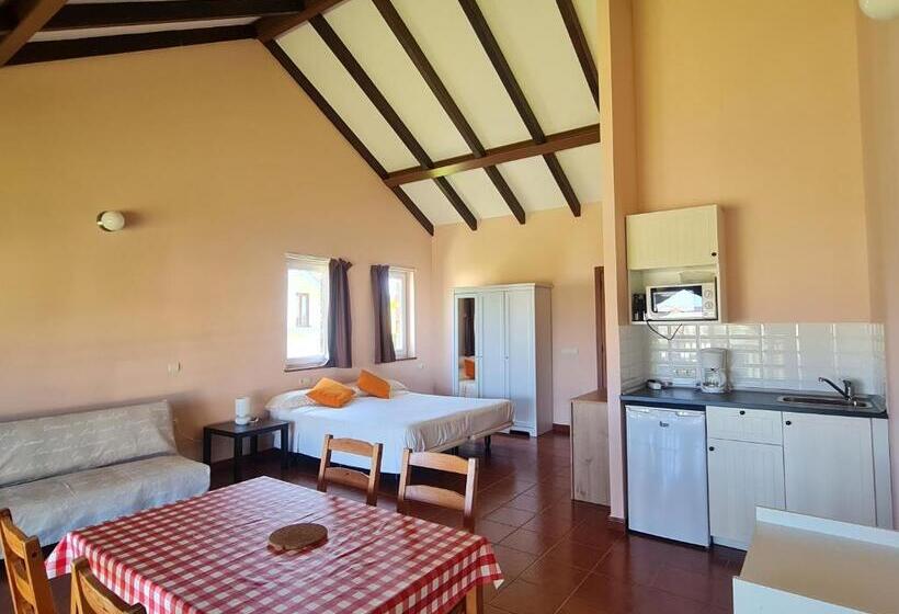 إستوديو قياسى مزودة بتراس, Casa Tésera