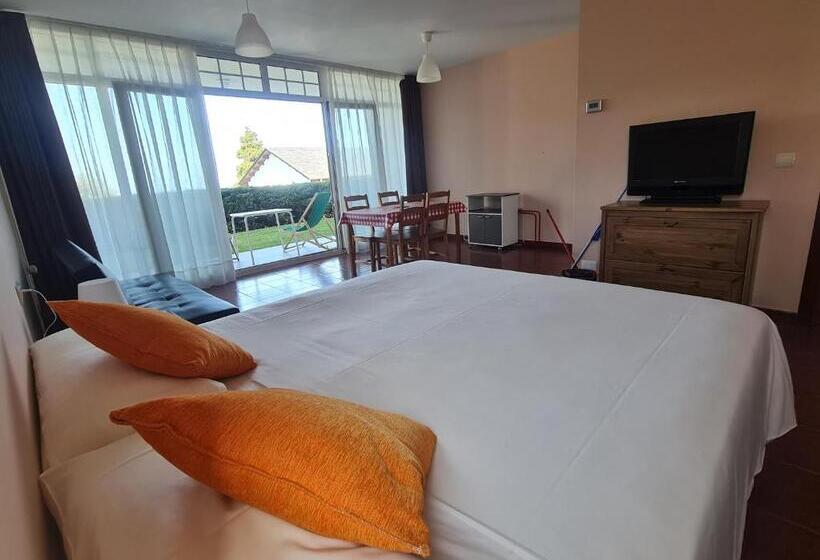 إستوديو قياسى مطلّ علي الحديقة, Casa Tésera