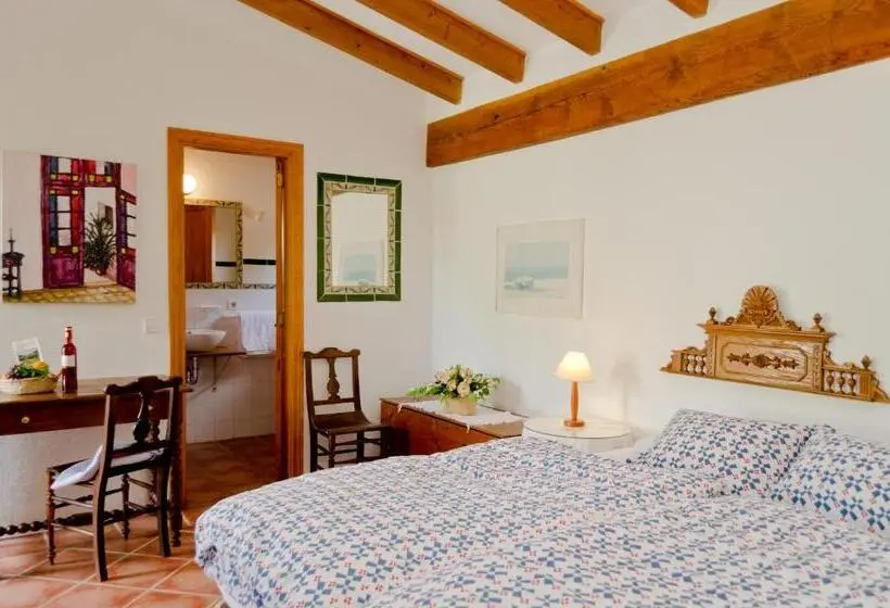 Standard-studio Terassi, Agroturisme S  Horta