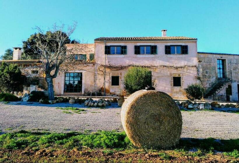 ３ベッドルームアパートメント, Finca Agroturismo Sa Cova Den Borino