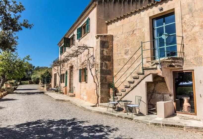 テラス付き１ベッドルームアパートメント, Finca Agroturismo Sa Cova Den Borino