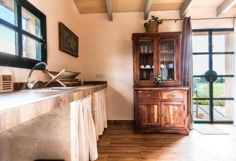 テラス付き１ベッドルームアパートメント, Finca Agroturismo Sa Cova Den Borino
