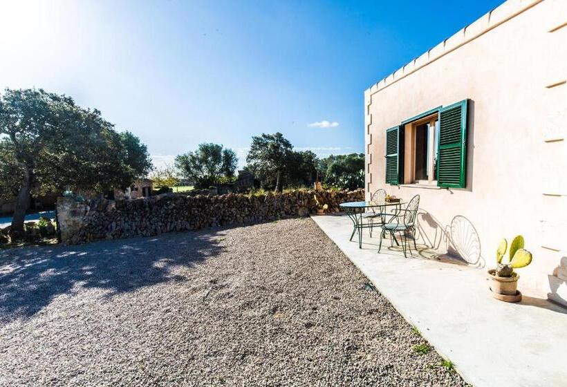 Standard bungalow with terrace, Finca Agroturismo Sa Cova Den Borino