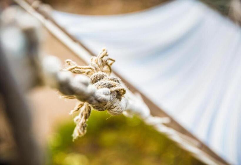 Standard bungalow with terrace, Finca Agroturismo Sa Cova Den Borino