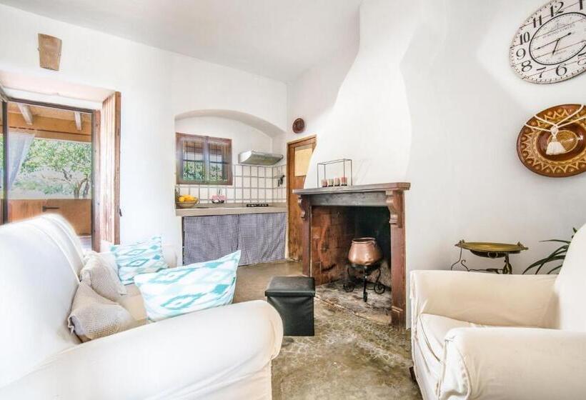 ３ベッドルームアパートメント, Finca Agroturismo Sa Cova Den Borino