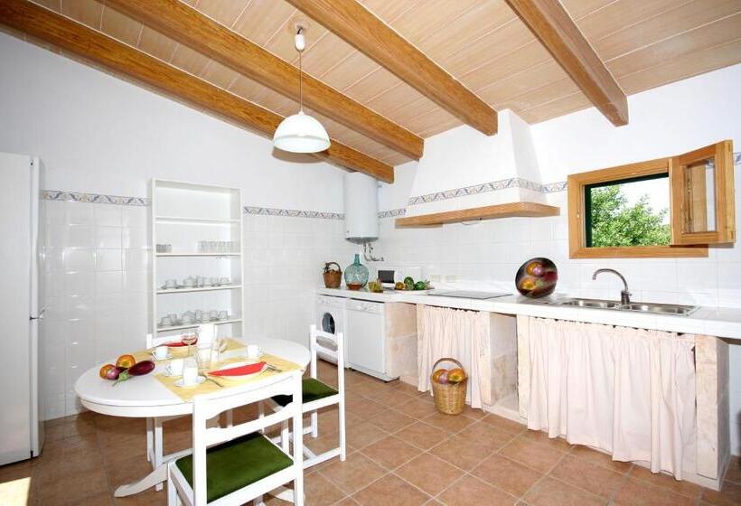 テラス付き１ベッドルームアパートメント, Finca Agroturismo Sa Cova Den Borino