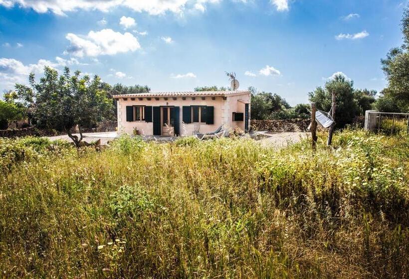 Standard bungalow with terrace, Finca Agroturismo Sa Cova Den Borino