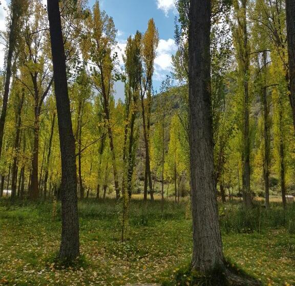 סוויטה, Royuela Hostal