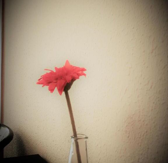 اتاق استاندارد, Pension Santiago