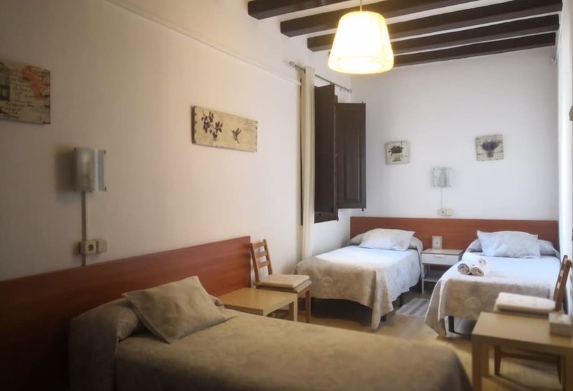 اتاق استاندارد چهار تخته, Hostal Dragonflybcn