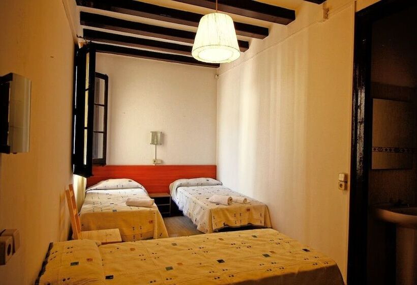 اتاق استاندارد چهار تخته, Hostal Dragonflybcn