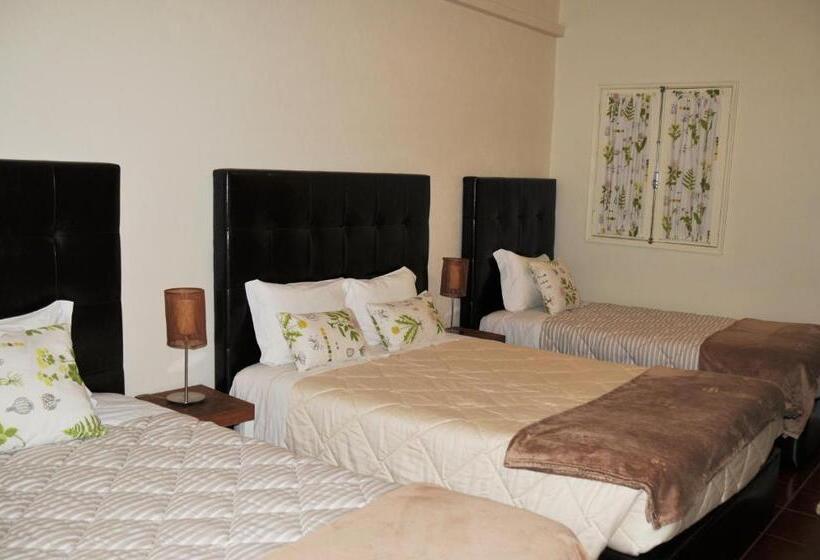 四人标准间, Ester Guest House