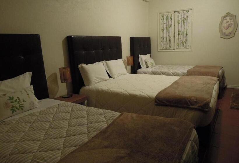 Четырехместный Номер Стандарт, Ester Guest House