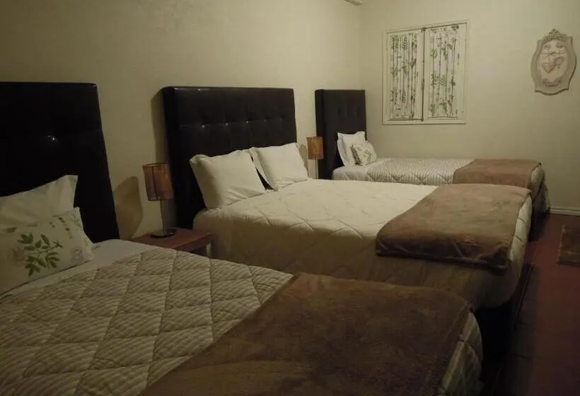 スタンダード４人部屋, Ester Guest House