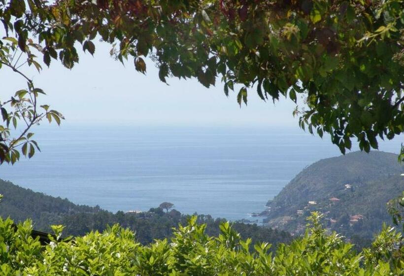 スタンダードルーム, La Sosta Di Ottone Iii