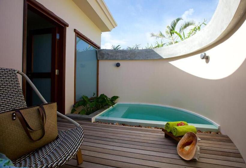 سوییت لوکس, Les Lauriers Eco