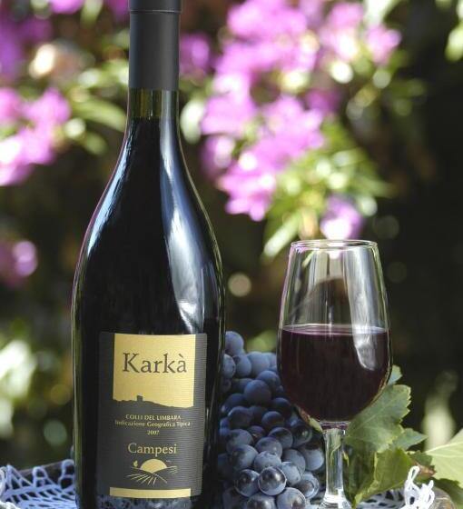 Студио Стандарт Вид на Сад, Agriturismo Campesi Casale Tra Le Vigne
