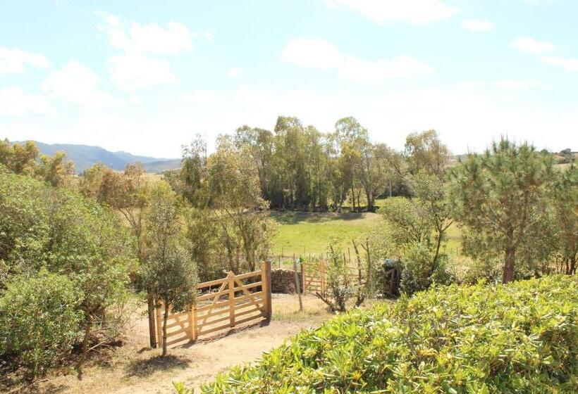 ガーデンビューのスタンダードワンルーム, Agriturismo Campesi Casale Tra Le Vigne