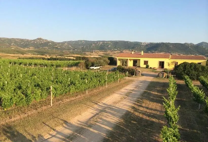 テラス付きスタンダードワンルーム, Agriturismo Campesi Casale Tra Le Vigne