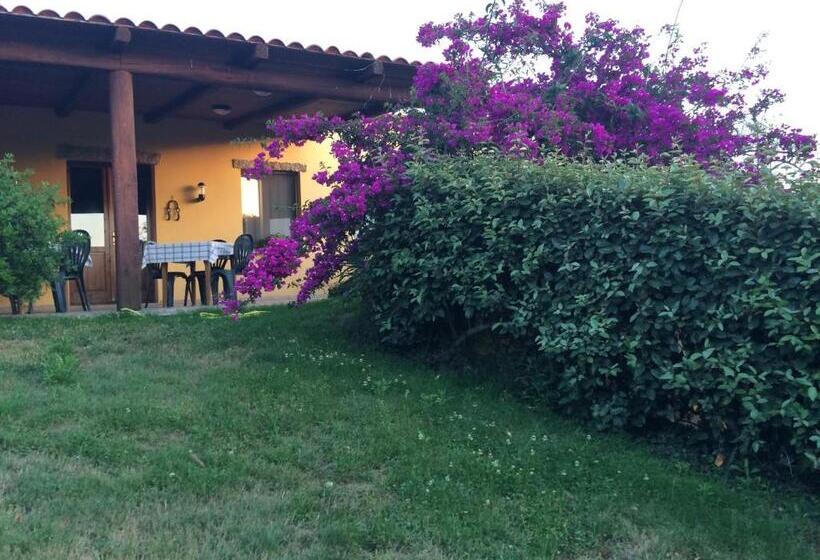 テラス付きスタンダードワンルーム, Agriturismo Campesi Casale Tra Le Vigne
